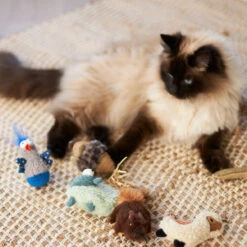 Wobble Duck Cat Toy -Kazoo Store Kazoo 14023 WobbleDuck Side 10x6x4 LS4