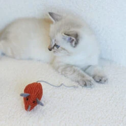 Thrice The Mice With Catnip -Kazoo Store Kazoo 14024 ThreeBlindMice 15x3x3 LS2