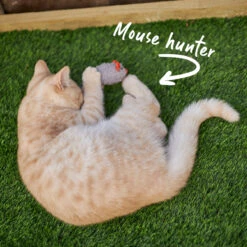 Thrice The Mice With Catnip -Kazoo Store Kazoo 14024 ThreeBlindMice 15x3x3 LS5 D