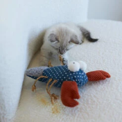 Snappy Lobster With Catnip And Straw -Kazoo Store Kazoo 14025 SnappyLobster LS 5