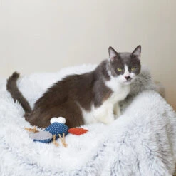 Snappy Lobster With Catnip And Straw -Kazoo Store Kazoo 14025 SnappyLobster LS 6