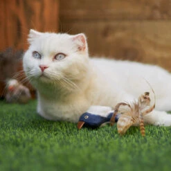 Chirpy Bird With Sound Chip -Kazoo Store Kazoo 14028 ChirpyBird 9x5x3 LS2