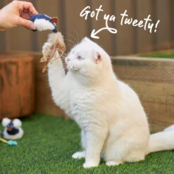 Chirpy Bird With Sound Chip -Kazoo Store Kazoo 14028 ChirpyBird 9x5x3 LS5 doodle