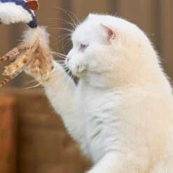 Chirpy Bird With Sound Chip -Kazoo Store Kazoo 14028 ChirpyBird 9x5x3 LS6