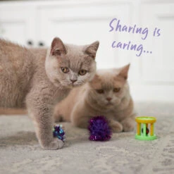 Barrel Rattle Cat Toy -Kazoo Store Kazoo 14039 KittyBulkToy BarrelRattle LS1 Doodles