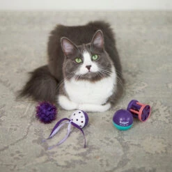 Kitty Wobble Ball -Kazoo Store Kazoo 14040 KittyBulkToy WobbleBall LS2