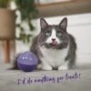 Cat Treat Enrichment Ball -Kazoo Store Kazoo 14041 KittyTreatBall 3 LS1 Doodles