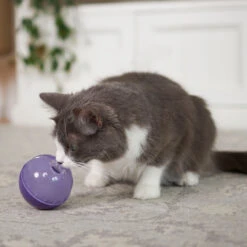 Cat Treat Enrichment Ball 11 Cat Treat Enrichment Ball -Kazoo Store Kazoo 14041 KittyTreatBall 3 LS2