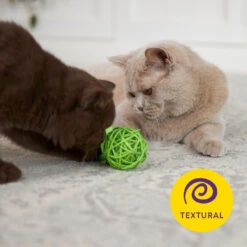 Kitty Wicker Play Ball -Kazoo Store Kazoo 14046 KittyBulkToy WickerBall LS4 Doodles