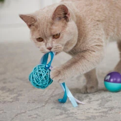 Kitty Wicker Play Ball -Kazoo Store Kazoo 14046 KittyBulkToy WickerBall LS6