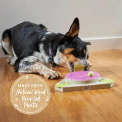 Triangle Turn Interactive Puzzle Play Cat Toy -Kazoo Store Kazoo 14048 TriangleTurnPuzzle LS 5 Doodles c1d31854 f6d8 4f6e 87fe 767b28850bf4