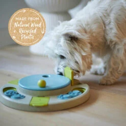 Circle Slider Interactive Cat Puzzle Toy -Kazoo Store Kazoo 14049 CircleSliderPuzzle LS1 Doodles 43d178f7 bda6 4928 99fa 3e2f84919926