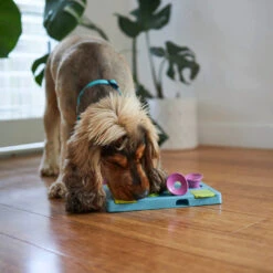 Rectangle Rumble Interactive Puzzle Dog Toy -Kazoo Store Kazoo 14050 RectangleRumblePuzzle LS3