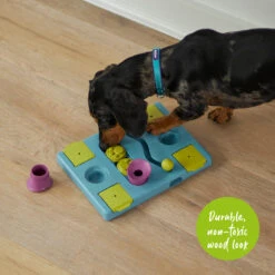 Rectangle Rumble Interactive Puzzle Cat Toy 14 Rectangle Rumble Interactive Puzzle Cat Toy -Kazoo Store Kazoo 14050 RectangleRumblePuzzle LS6 Doodles 62680560 963e 4355 8351 375378edc96e