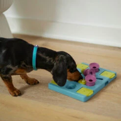 Rectangle Rumble Interactive Puzzle Dog Toy -Kazoo Store Kazoo 14050 RectangleRumblePuzzle LS7