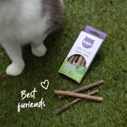 Kitty Silvervine Dental Chews - 10 Pack 23 Kitty Silvervine Dental Chews - 10 Pack -Kazoo Store Kazoo 14059 KittySilvervineDentalChews Doodles 01