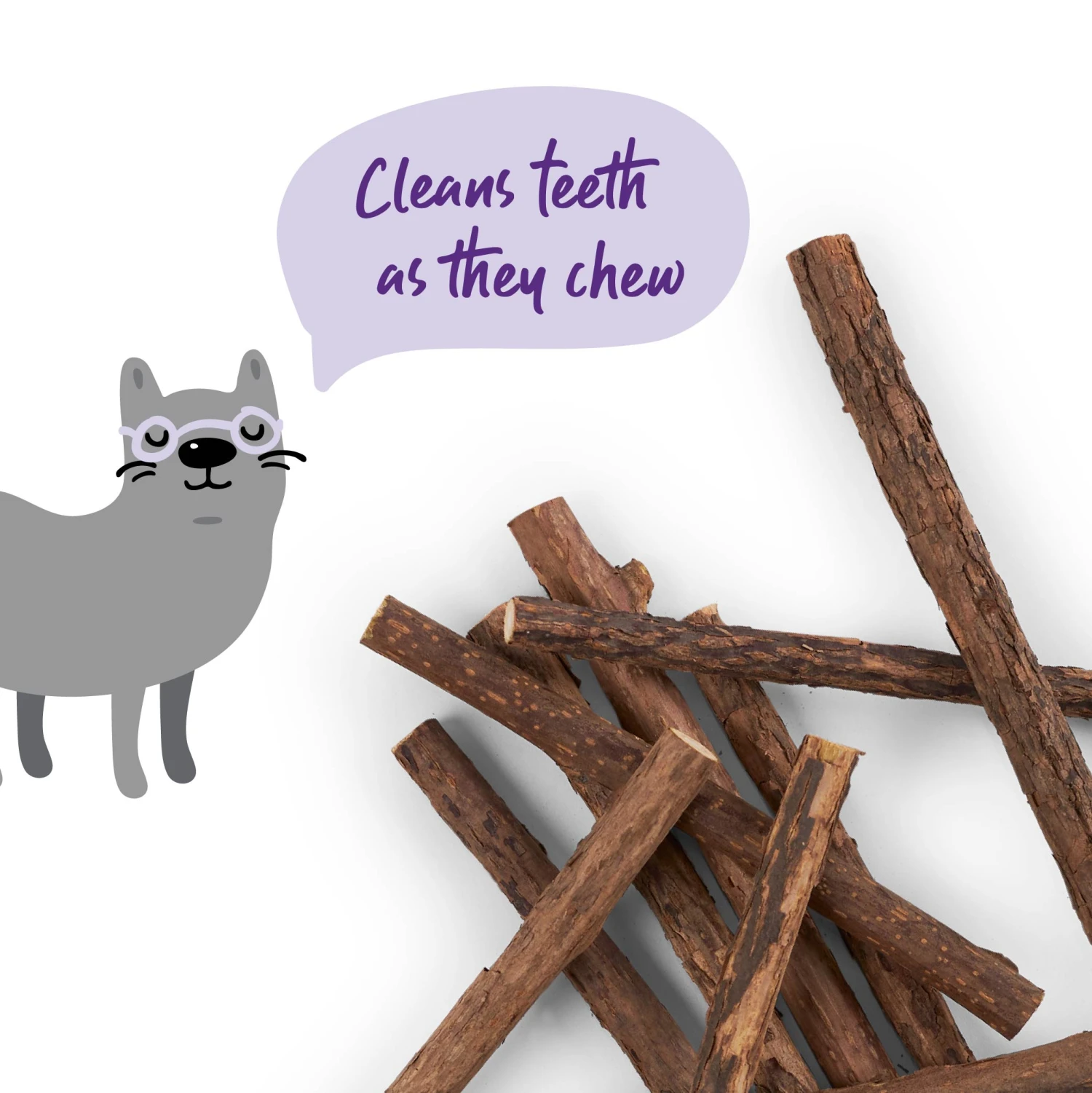 Kitty Silvervine Dental Chews - 10 Pack 14 Kitty Silvervine Dental Chews - 10 Pack - Image 12