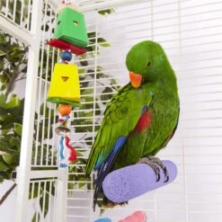 Dual Cardboard Coloured Foraging Box -Kazoo Store Kazoo 14522 14524 PumicePerch LS 07 04a8b927 34e7 4f84 990f dc43079b815b