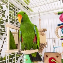 Cardboard Activity Box With Bell 11 Cardboard Activity Box With Bell -Kazoo Store Kazoo 14530 14539 WoodenMirrorPerch LS1