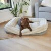 Honey Possum Dog Bed -Kazoo Store Kazoo 14953 14955 PossumBed Honey LS 09