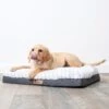 Cloud Comfort Dog Bed -Kazoo Store Kazoo 15022 15024 CloudComfortBed LS8
