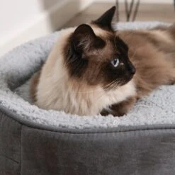 Manhattan Bed - Grey & White - Cat -Kazoo Store Kazoo 15068 15070 ManhattanBed Grey LSCat3 2603c2c2 300d 475d 8526 f96def1605e9