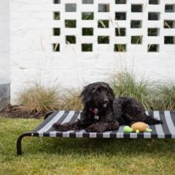 Everyday Outdoor Dog Bed - Black & White