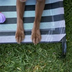 Everyday Outdoor Dog Bed - Black & White -Kazoo Store Kazoo 15201 15204 EverydayOutdoorBed B W LS4