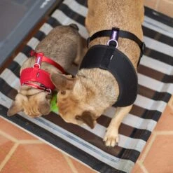 Everyday Outdoor Dog Bed - Black & White -Kazoo Store Kazoo 15201 15204 EverydayOutdoorBed B W LS7