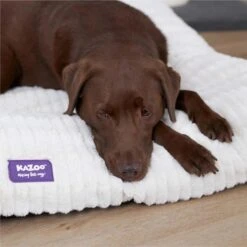Storm Dog Pillow - Cream -Kazoo Store Kazoo 15359 15361 StormPillow Cream LS1