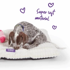 Storm Dog Pillow - Cream -Kazoo Store Kazoo 15359 15360 15361 CloudCushionBed LS1