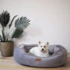 Cosy Bilby Dog Bed - Silver -Kazoo Store Kazoo 15371 15372 BilbyBed LS3