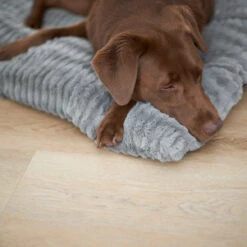 Storm Dog Pillow Bed - Grey -Kazoo Store Kazoo 15471 15474 StormPillow Grey LS 1