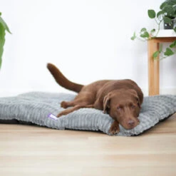 Storm Dog Pillow Bed - Grey -Kazoo Store Kazoo 15471 15474 StormPillow Grey LS 3