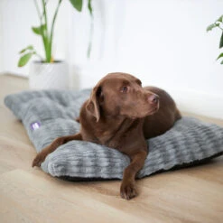 Storm Dog Pillow Bed - Grey -Kazoo Store Kazoo 15471 15474 StormPillow Grey LS 4