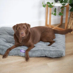 Storm Dog Pillow Bed - Grey -Kazoo Store Kazoo 15471 15474 StormPillow Grey LS 5