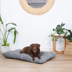 Storm Dog Pillow Bed - Grey