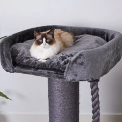 High Bed Cat Scratch Post - Charcoal Plush -Kazoo Store Kazoo 15488 HighBedScratchPost Charcoal 2