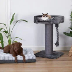 High Bed Cat Scratch Post - Charcoal Plush