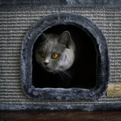 3 Chambers Cat Den - Charcoal -Kazoo Store Kazoo 15490 2ChamberDen Charcoal Lifestyle3 ecc8e7ba c8d9 4071 b78a ce642fe0c168