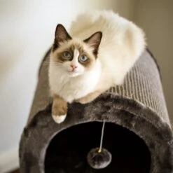 3 Chambers Cat Den - Charcoal -Kazoo Store Kazoo 15490 2ChamberDen Charcoal Lifestyle ca87cd53 871e 4653 9ced 5cbf71831deb