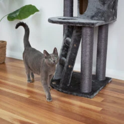 Corner 3 Level Cat Playground - Charcoal -Kazoo Store Kazoo 15492 Corner3LevelPlayground Grey LS 3