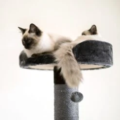 Kazoo Store -Kazoo Store Kazoo 15494 5LevelPlayground Charcoal Lifestyle4