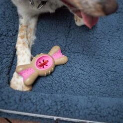 Everyday Pet Crate -Kazoo Store Kazoo 15507 15511 SoftDogCrateCushion LS7