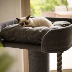High Bed Sofa Cat Scratch Post - Grey -Kazoo Store Kazoo 15518 HighSofaBedScratchPost Grey Lifestyle3