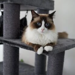 Kitty Tall Cubby Playground -Kazoo Store Kazoo 15555 KittyTallCubbyPlayground LS 006