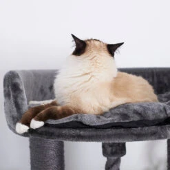 Kitty Scratch & Sleep Post - Charcoal 26 Kitty Scratch & Sleep Post - Charcoal -Kazoo Store Kazoo 15574 Scratch Sleep Charcoal LS 10