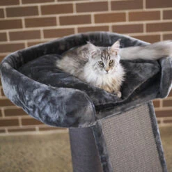 High Bed Cat Scratch Post With Ramp - Charcoal -Kazoo Store Kazoo 15594 KittyHighBedw Ramp Charcoal LS2