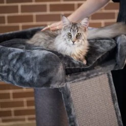 High Bed Cat Scratch Post With Ramp - Charcoal -Kazoo Store Kazoo 15594 KittyHighBedw Ramp Charcoal LS3