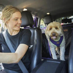 Car Seat Cover -Kazoo Store Kazoo 15710 CarSeatCover LS2